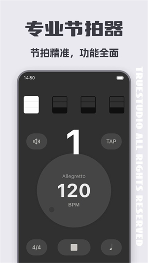 琵琶调音器手机版