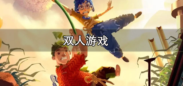 双人游戏
