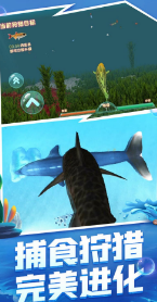 海洋霸主进化截图2