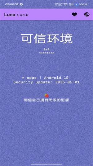 Luna设备检测截图1