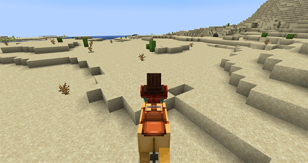 minecraft基岩版1.21