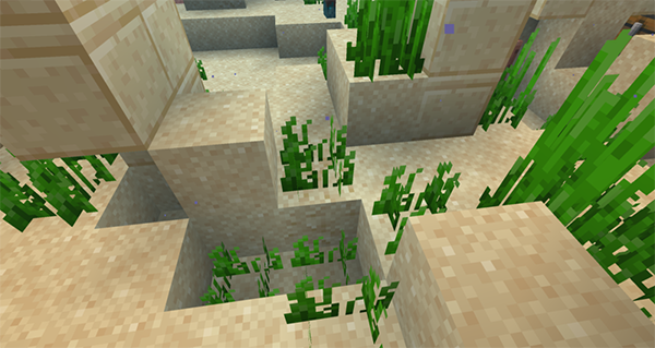 minecraft基岩版1.21