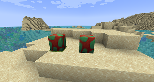 minecraft基岩版1.21