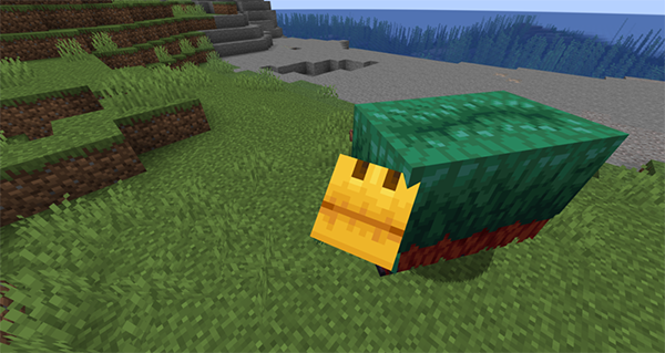 minecraft基岩版1.21