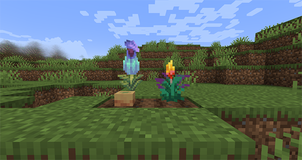 minecraft基岩版1.21