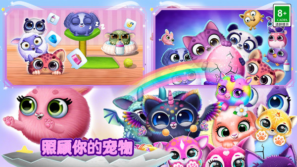 宠物连锁店截图1