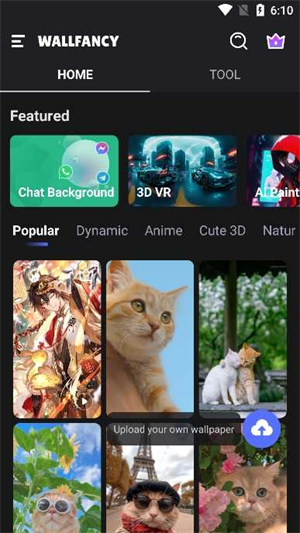 WallFancy截图1