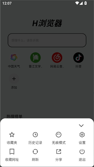 h浏览器截图4
