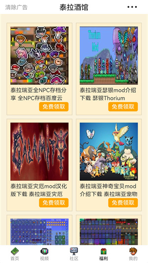 泰拉瑞亚泰拉酒馆截图5