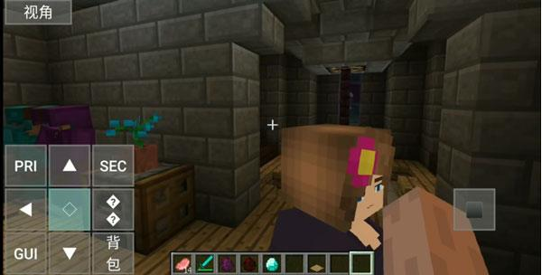 珍妮冒险直装版