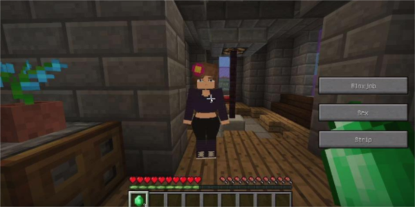 珍妮冒险直装版