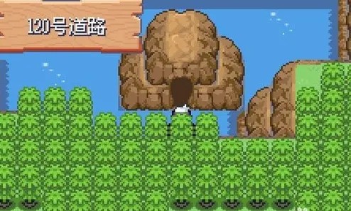 宝可梦漆黑的魅影5.0安卓版截图4