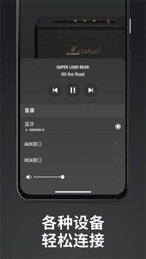 Marshall Bluetooth安卓版截图2