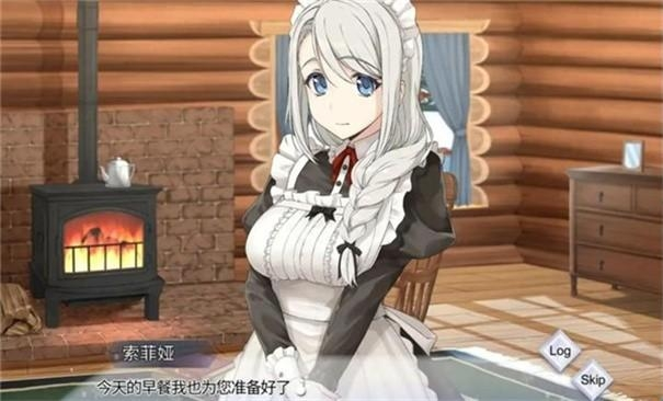 我与索菲亚的秘密手游