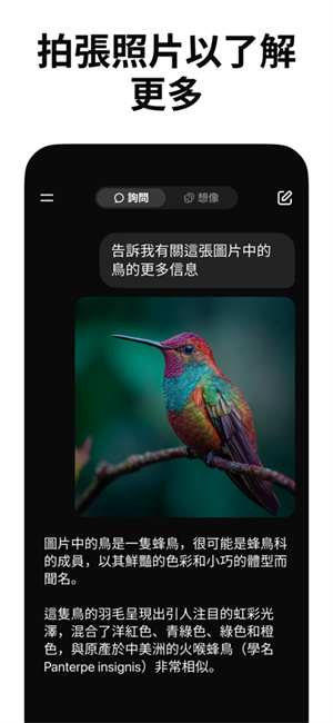 Grok ai截图2