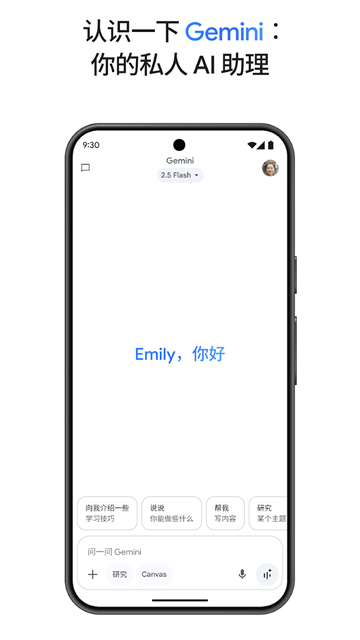 gemini人工智能截图1