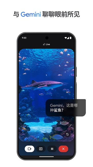 gemini人工智能截图5