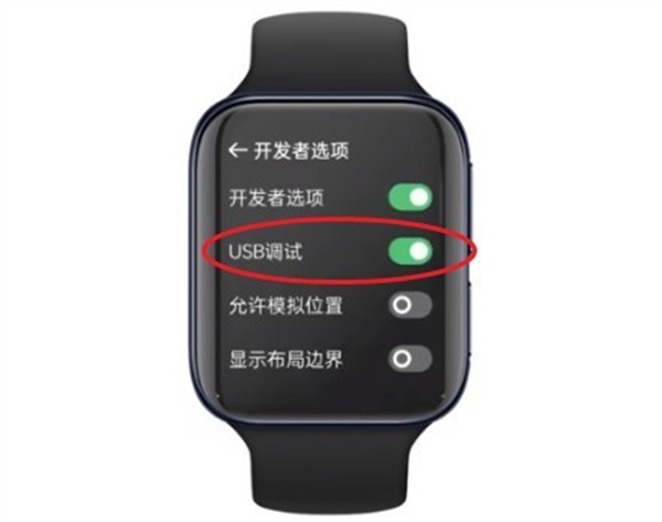 OW表盘商店正版