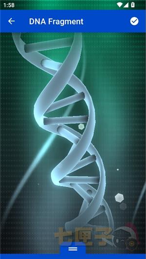 壁纸引擎wallpaper手机版