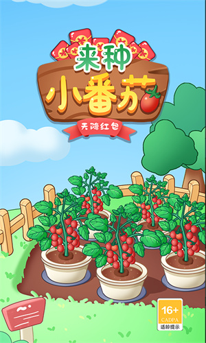 来种小番茄截图1