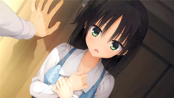 千恋万花直装1.65G手机版