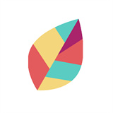 飞火动态壁纸apk