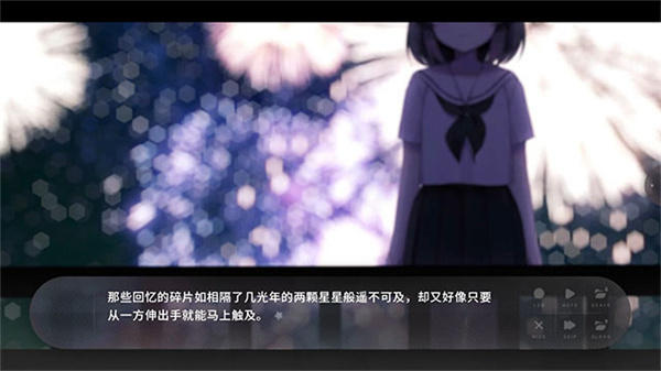 夏末盛开的花截图2