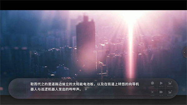 夏末盛开的花截图5