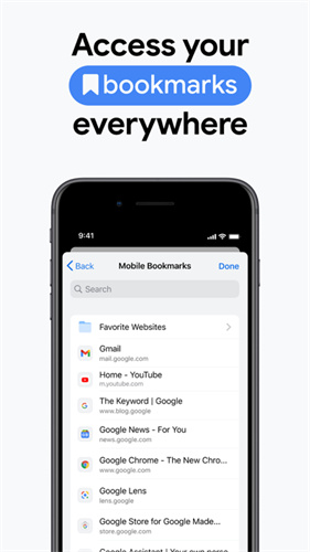 chrome浏览器安装包