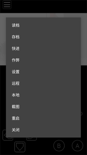 MyOldBoy中文版截图2
