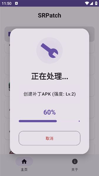 SRPatch安卓apk去签截图5