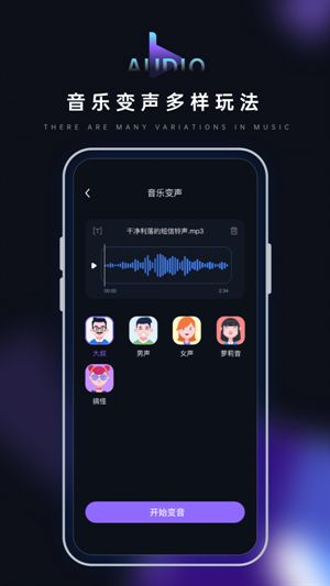 音乐转换器鸭截图3