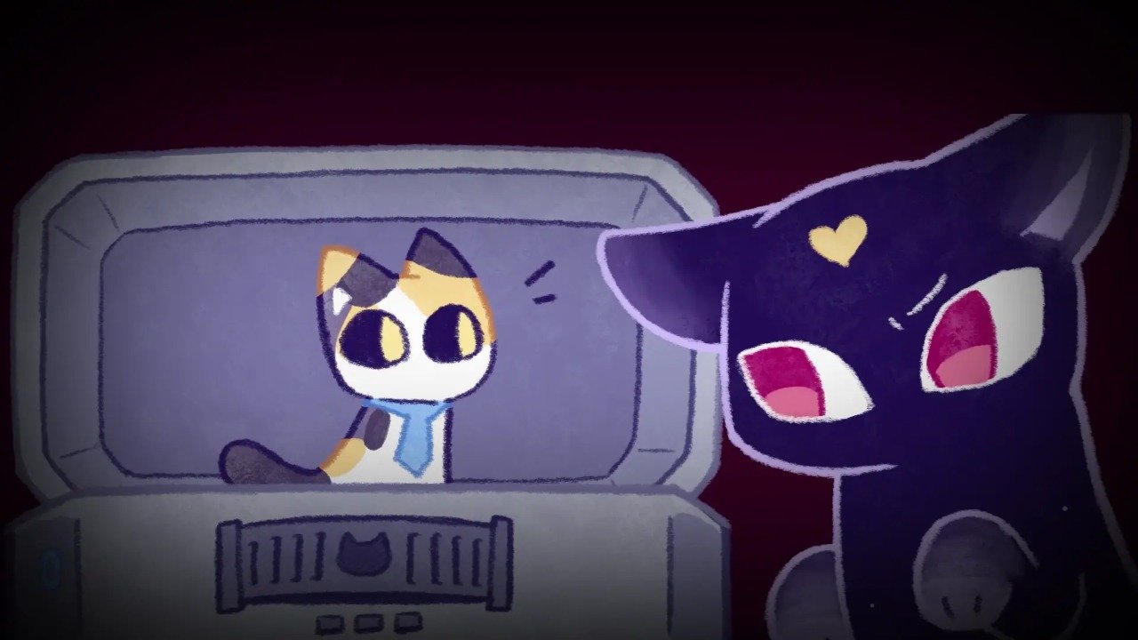 对人类过敏的猫截图5