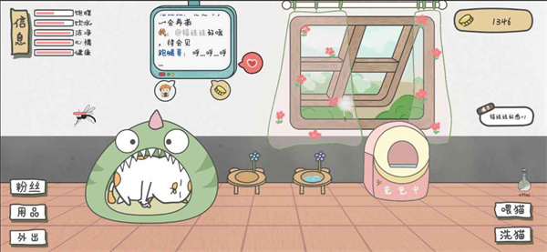 主播和猫的故事截图3