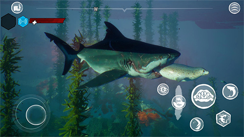 食人鲨正版截图6