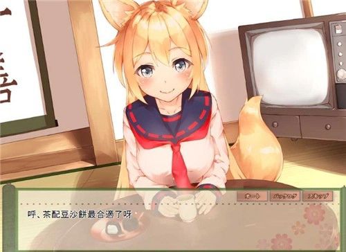 与狐狸的日常截图2