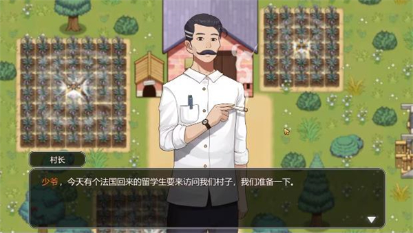 乡村狂想曲直装版