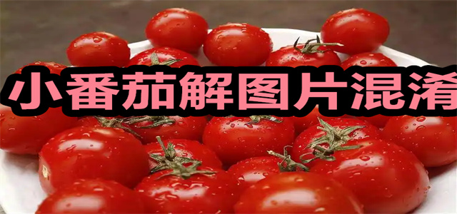小番茄解图片混淆