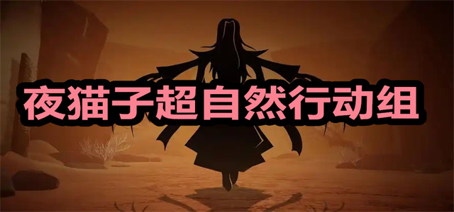 夜猫子超自然行动组