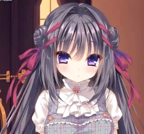 真爱的百合赤染狐直装