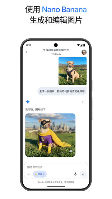 google gemini截图3