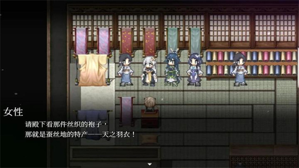 和平缔造者光辉王女截图2