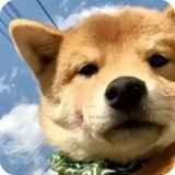 我的世界方可梦之旅