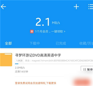 磁力猫官方版