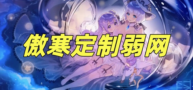 傲寒定制弱网