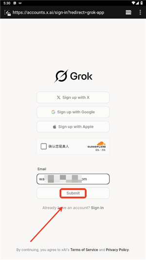 grok卸甲版