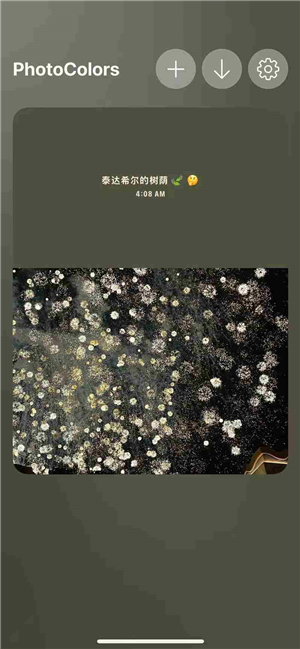 photocolors调色盘