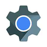 webview2