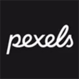 pexels中文版