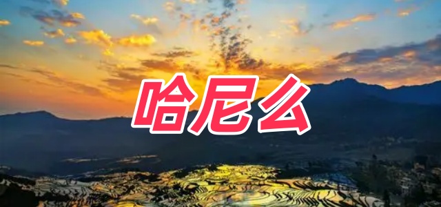 哈尼么